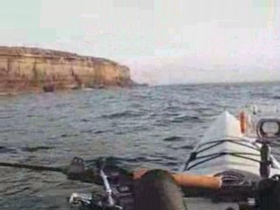 Kayak fishing report: Jervis Bay, NSW, Dec 27 2008