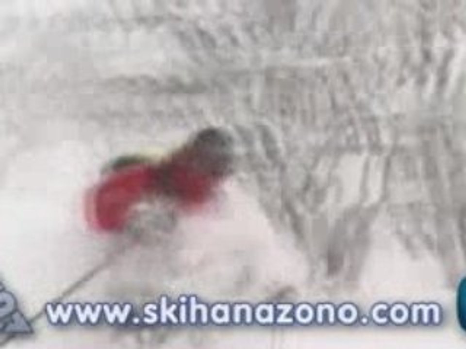 Ski really Deep Powder in Niseko