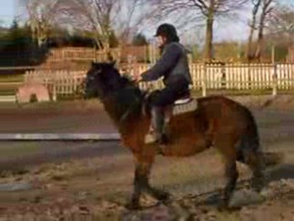 Aude et Siroco le poney de cirque