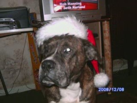 Les pères et mères noël