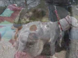 association droits de vivre