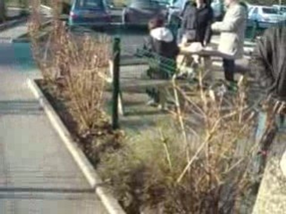 Voiture 3