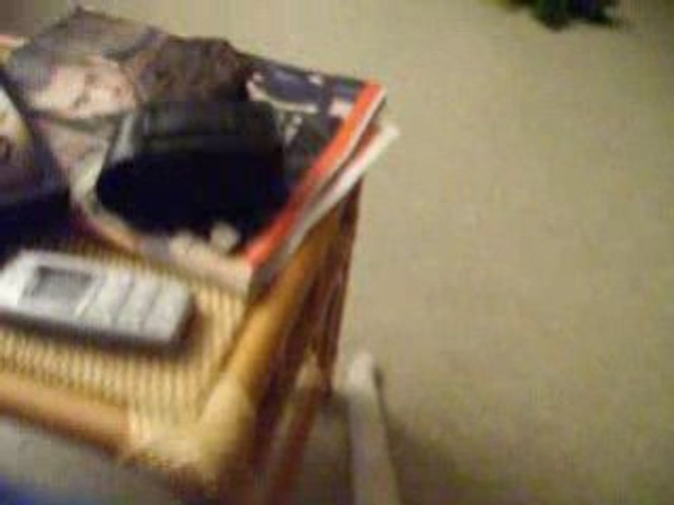 titus le chat fou: the return