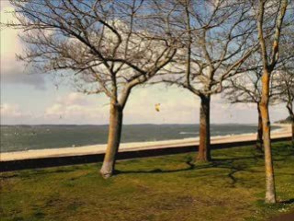 AMIS BONNE ANNEE 2009