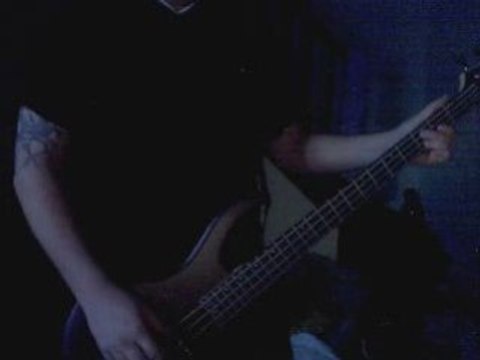 Korn - yall want a single (bass cover)