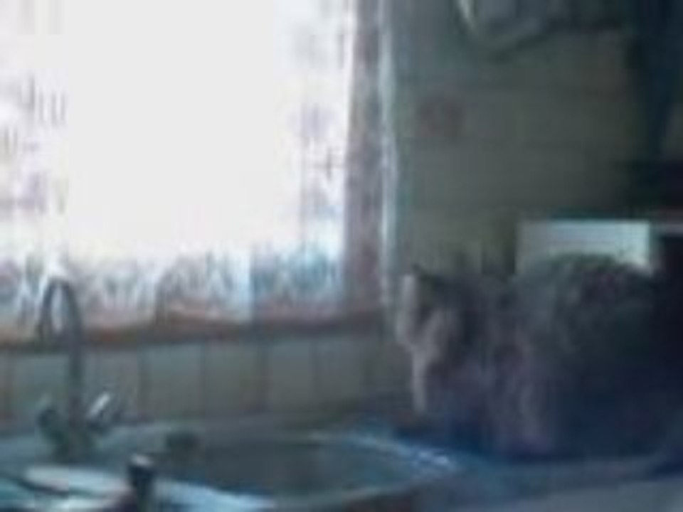 J'attendrai ton retour