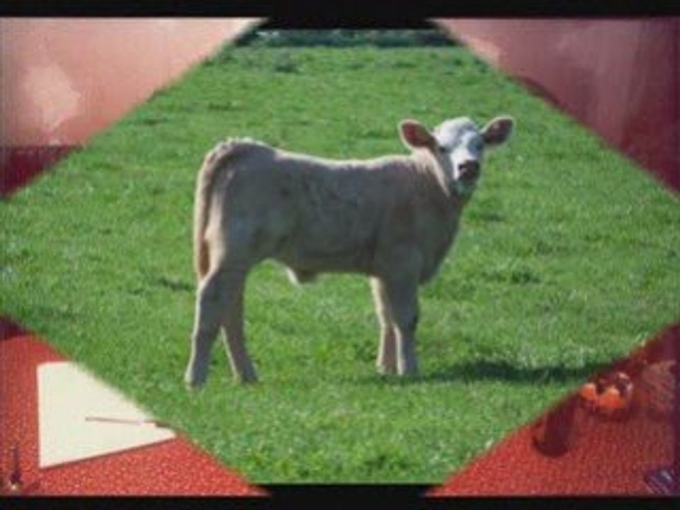 Nulle part JC Mahy- B Pia