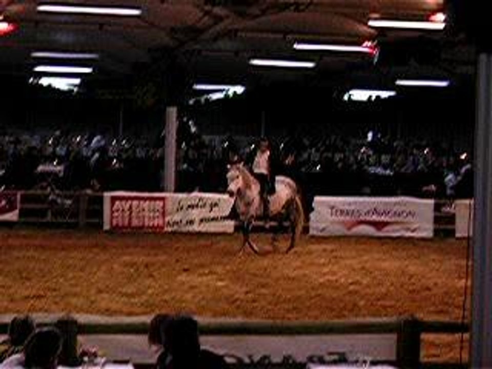 Avignon 2006
