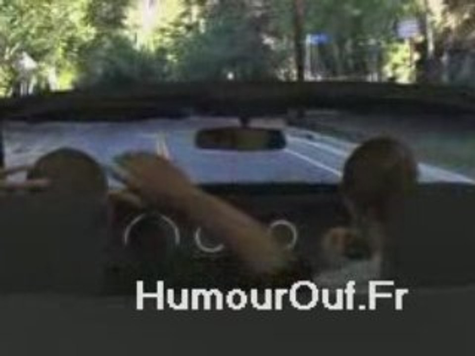 Probleme d'erection ? qu'a cela ne tienne ...