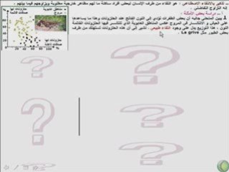 Sakina2 1