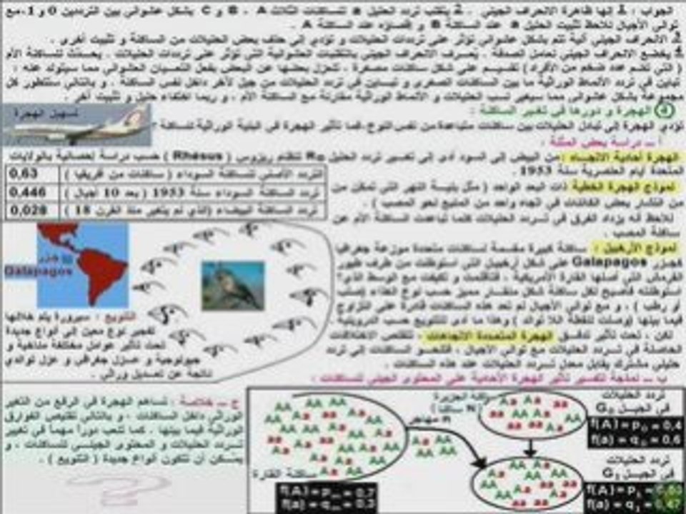 Sakina2 2 terminal S