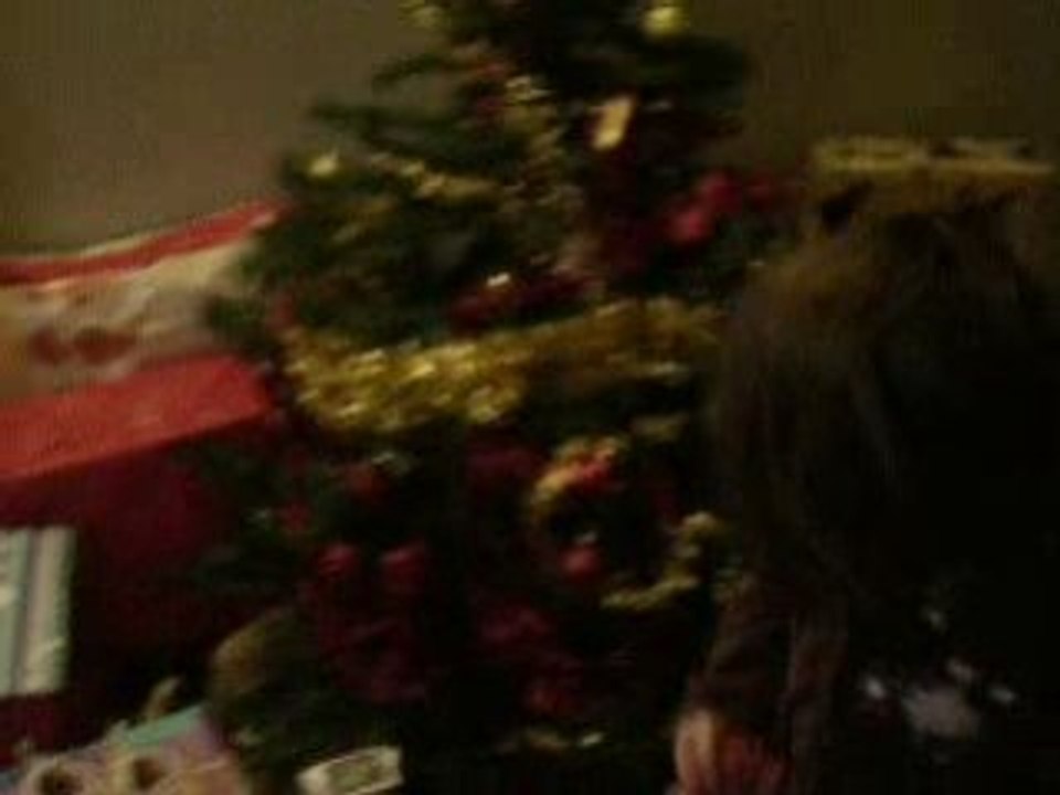 sapin nina