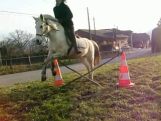 Scéance de saut