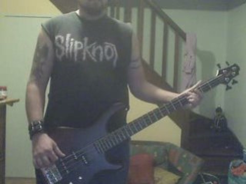 SOAD aerials (bass cover)