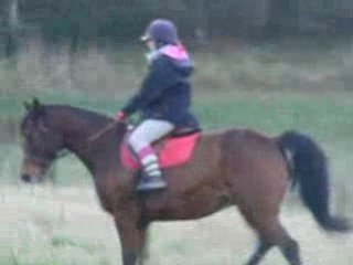 Le 26 décembre 2008