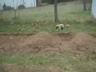 Premier tour de circuit pour ma mini inferno