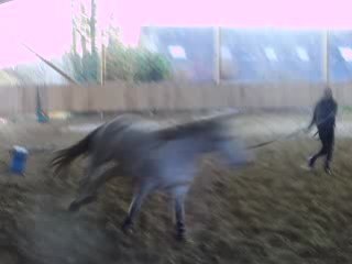 Quatcha en longe (première fois)