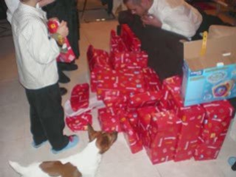 Noel 2008