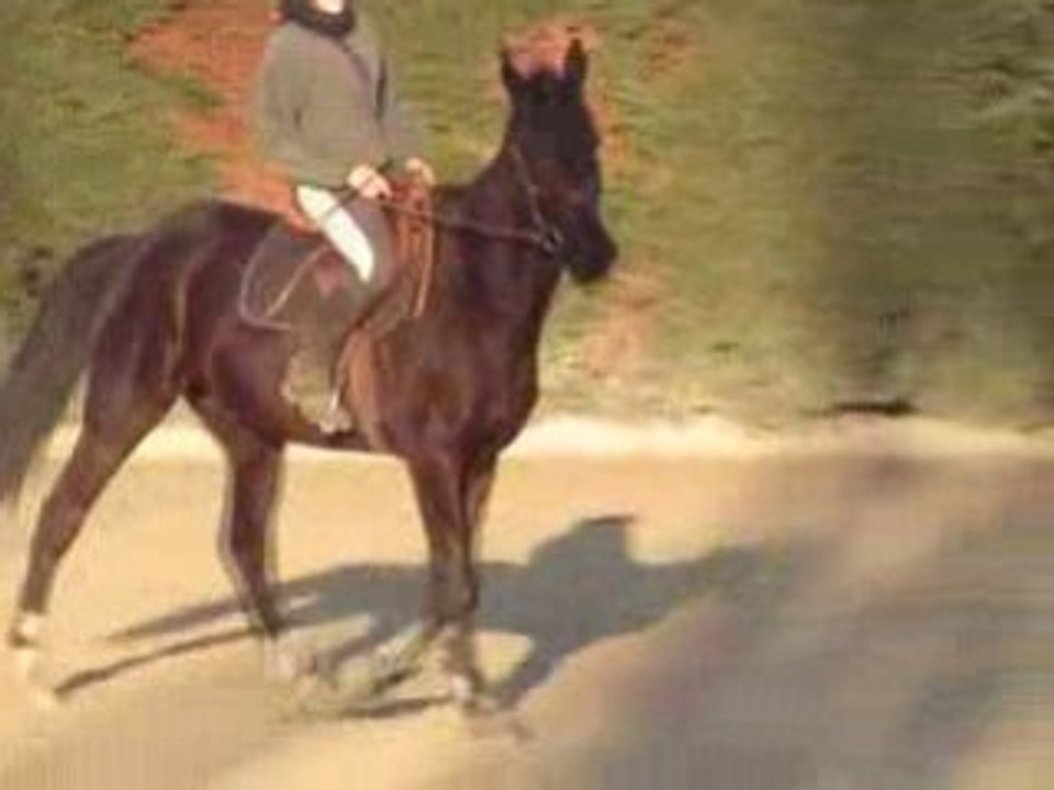 olten deplacements dur dur 3