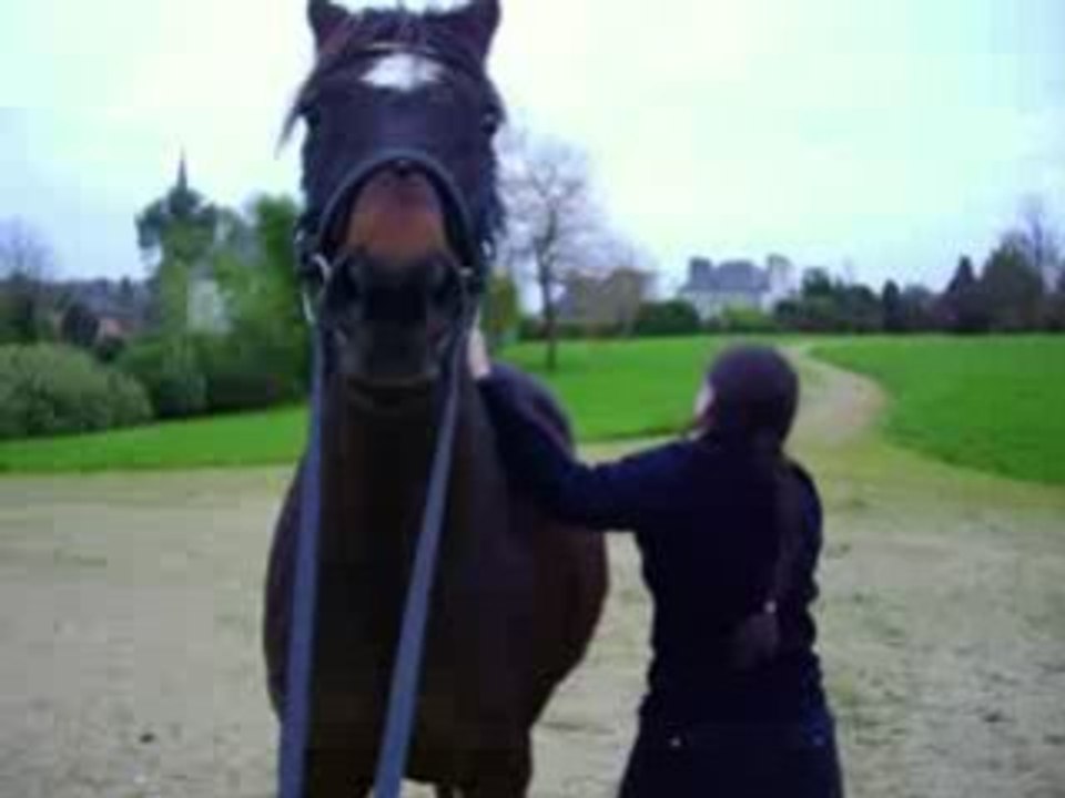 Encore une tentative