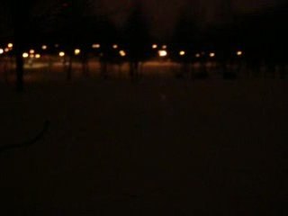 Parc Mont Royal by night, avec neige