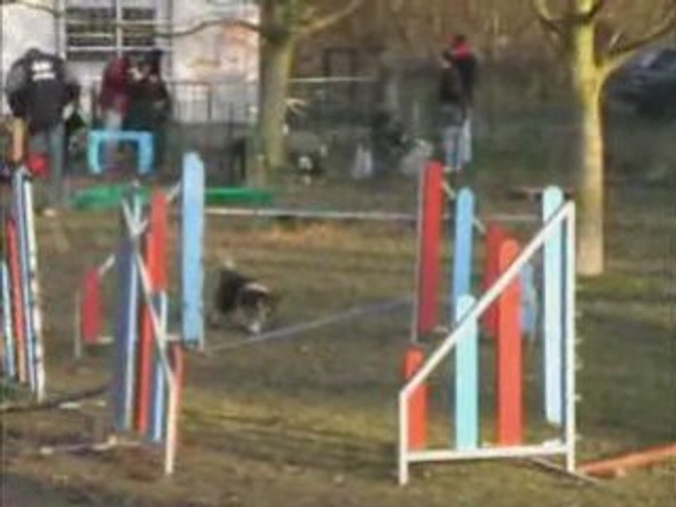 Chubby agility 27.12.08