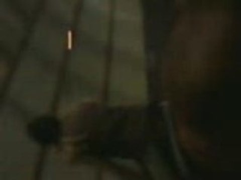 moi et gandin au galop en saut d'obstacle