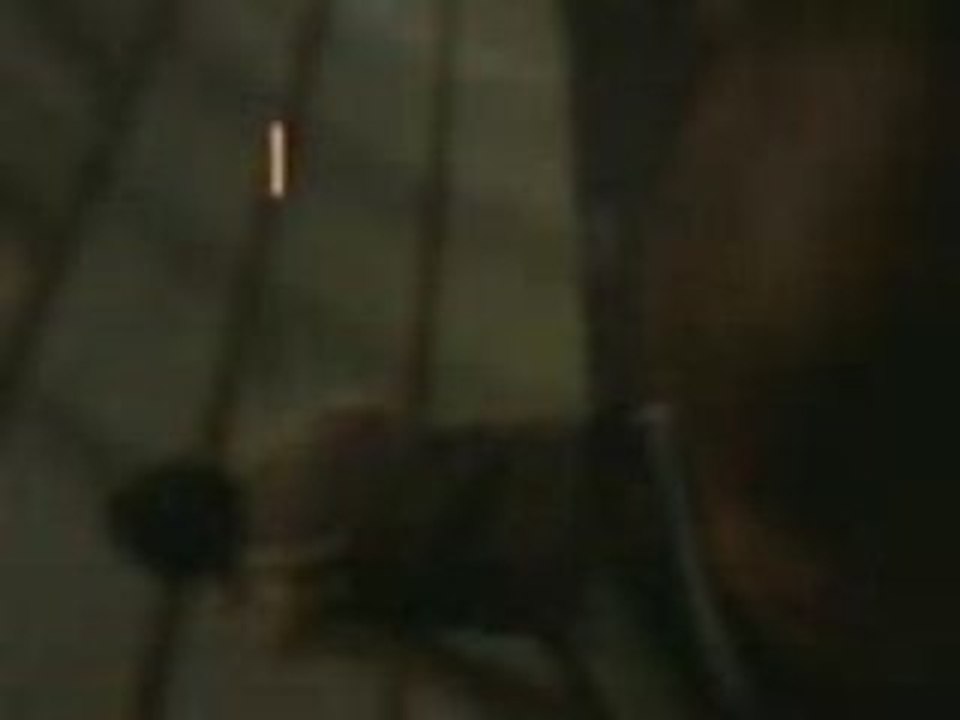 moi et gandin au galop en saut d'obstacle