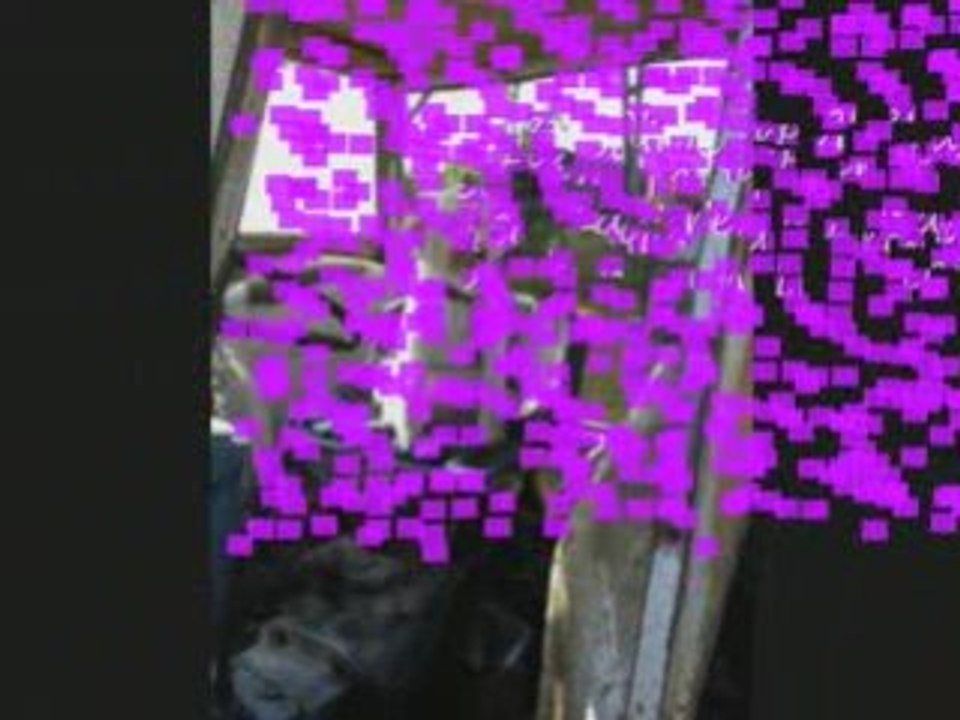 Bloom 1