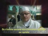 notre chemin à l'islam_pourquoi ont-ils choisi l'islam ??