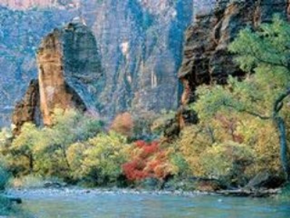 Conservancy Excerpt