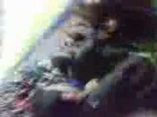 Sm caen-stade de reims