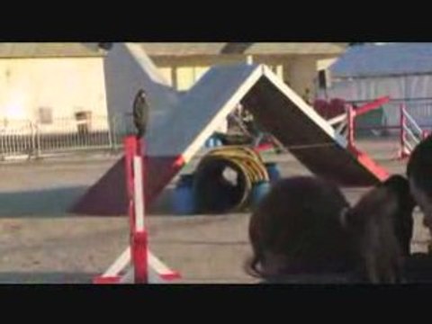 looping open martigues