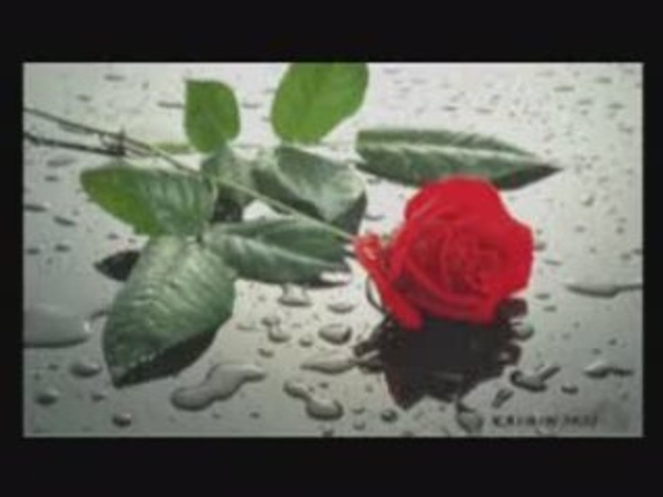 Deniz Seki Hüsnü Şenlendirici Adaletsiz Seçim www.lisem.net