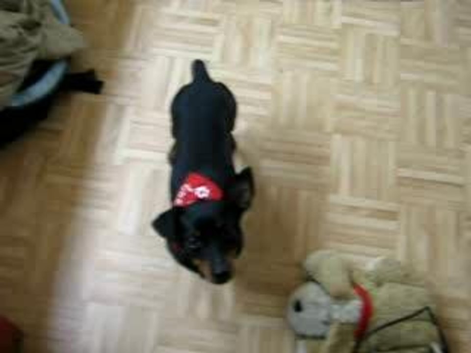 Tricks lucky