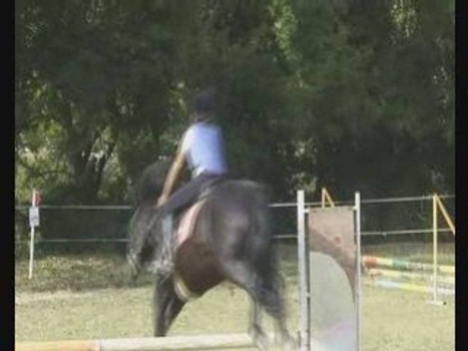 Concour cheval moi-indra