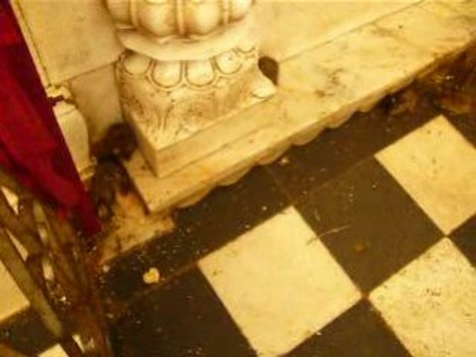 Temple des rats