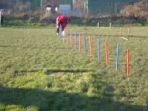 hutch en agility a 4 mois et demi