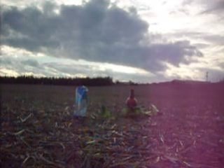 Air rifle stoeger x20 4,5mm 50 meter