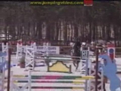 *L'air du paradis souffle entre les oreilles d'un cheval*