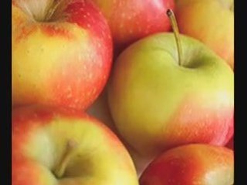 Tips to lose weight - Apples - from Animal-Kingdom-Workouts