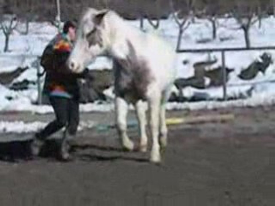 Seance du 26 décembre