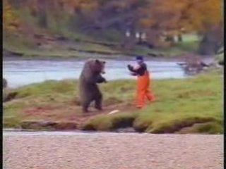 Pub pour du poisson - L'Homme attaque l'Ours