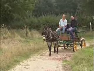 On prend l'air à Saint Jans Cappel et au Mont-Noir