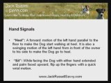 Jack Russell Terrier Training: The Sign Language