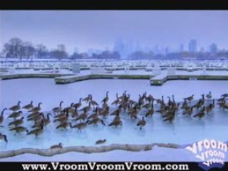 Chicago City Guide and Site Scene
