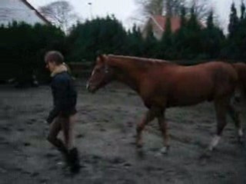 Kingou <3