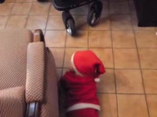 Nathan le lutin