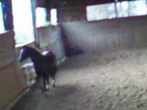 Pepsi saute en liberté