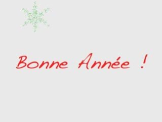 Bonne année 2009